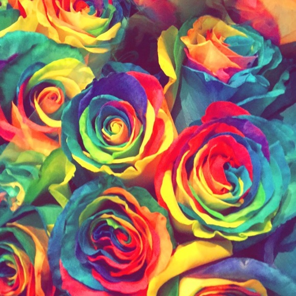 Meet your Posher, Ella - Picture 1 of 1